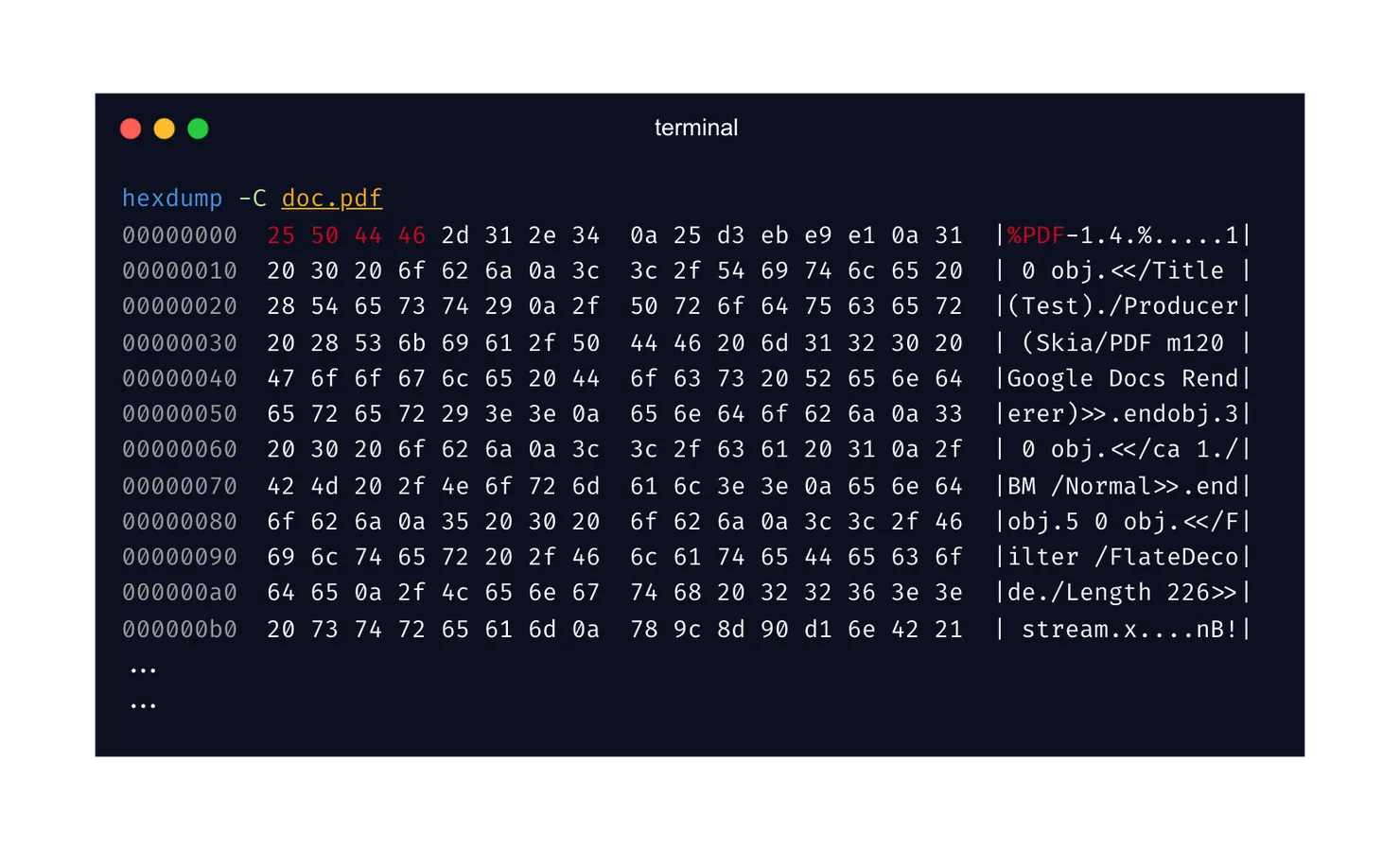 Output of the hexdump -C command on a pdf in a terminal. With a highlight on the first hex digits 25 50 44 46 corresponding to the PDF format
